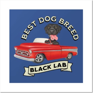 Black Lab Best Dog Breed Posters and Art